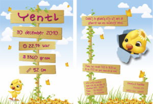 Eigen ontwerp geboortekaart de Haan