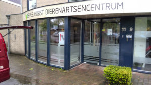 Dierenartsencentrum Peelhorst raambelettering gestraald glas